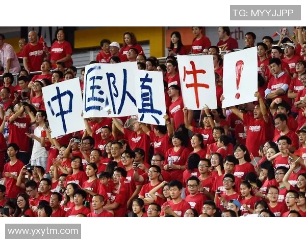 足球与篮球明星队标的魅力对比与文化影响探讨